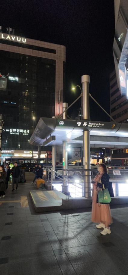 Mizo Hotel Seoul Exterior foto